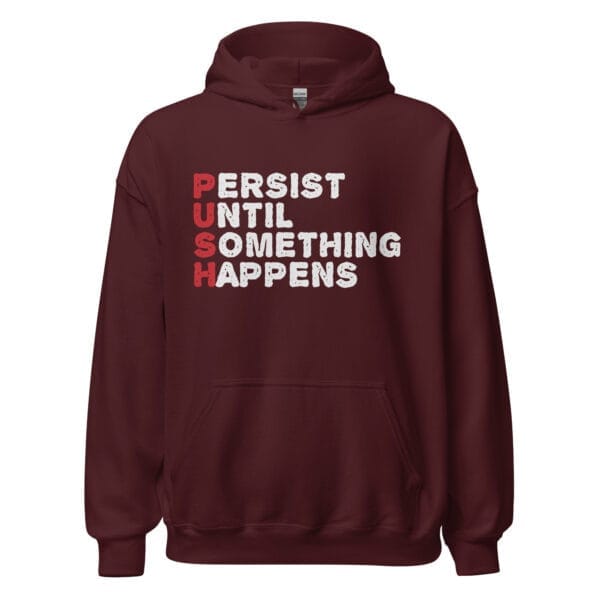 Persistence Pays Off - Unisex Hoodie