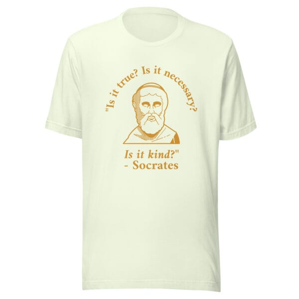 Is it true? Is it necessary? Is it kind? - Unisex t-shirt