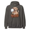 Cheerful Golden Retriever puppy throwing a snowball with a mischievous grin on a hoodie gift for dog moms and dads